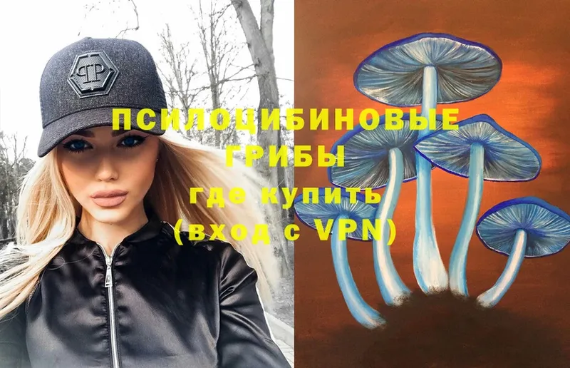 mega ONION  где купить   Моздок  Галлюциногенные грибы Psilocybe 